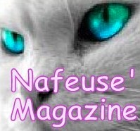 Publier ou partager un article sur Nafeusemagazine
