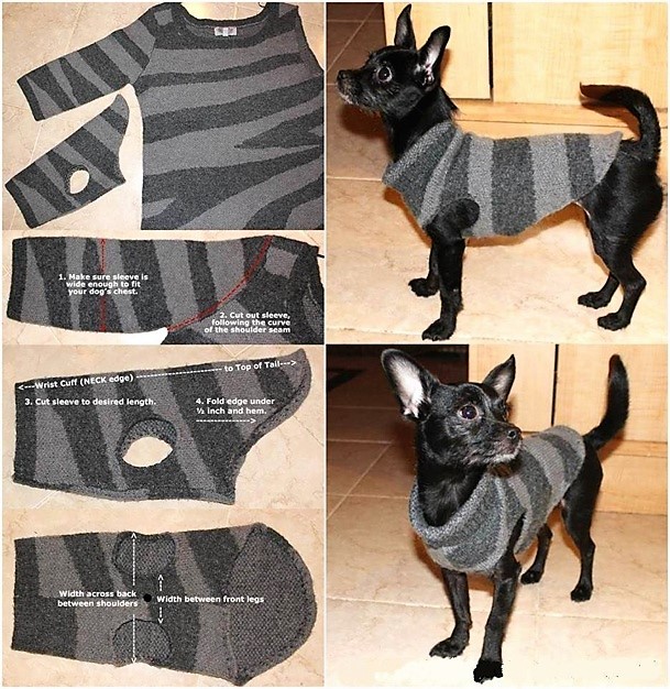 gilet pour chien au tricot facile