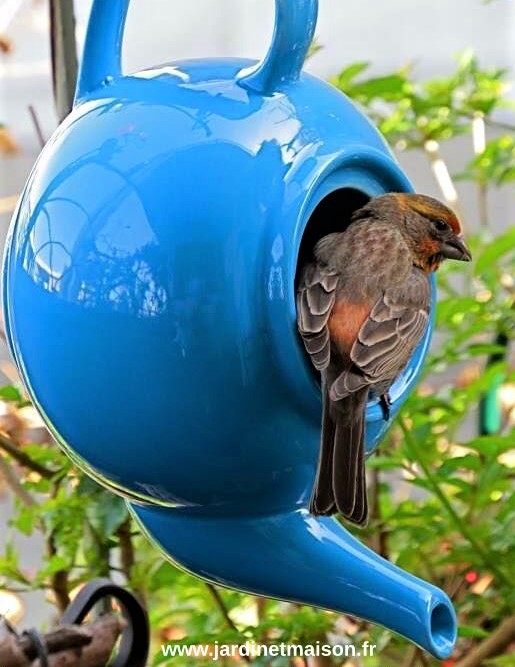 Une mangeoire à oiseaux de récup' en recyclant ses objets du quotidien