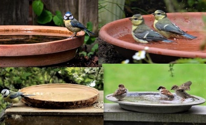 8 inspirations DIY pour fabriquer un abreuvoir pour oiseaux