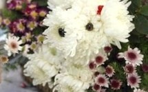 Déco insolite : des bouquets chiens-fleurs !